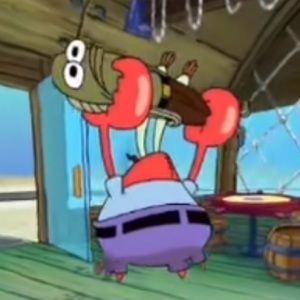 Meet your Posher, Celeste